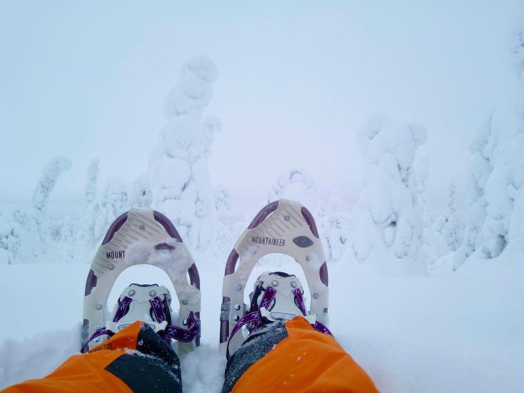 Sneeuwschoenwandelen met de groep